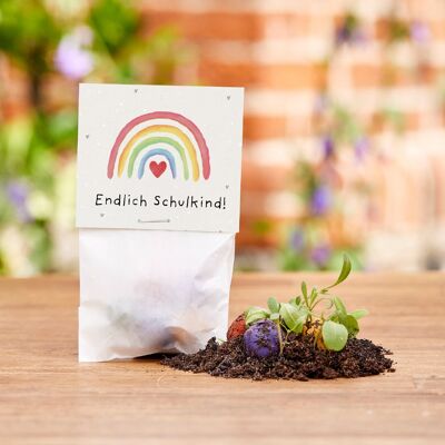 5 biglie a forma di fiore in un sacchetto di cellophane - "Finalmente uno scolaro" - iscrizione scolastica