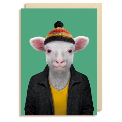 Sheep (Lamb)