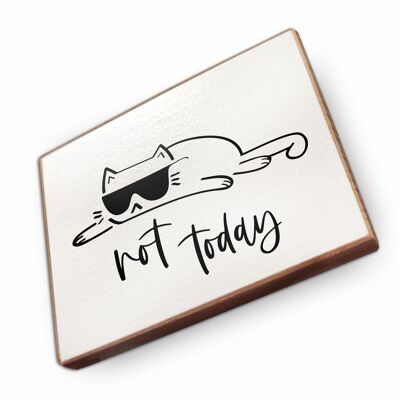 Beechwood fridge magnet - Not today