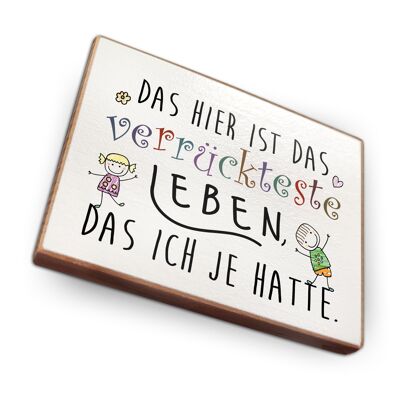 Beechwood fridge magnet - This is the craziest