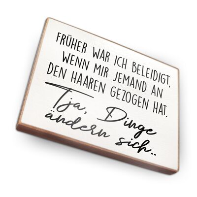 Beechwood fridge magnet - I used to be offended when someone pulled my hair