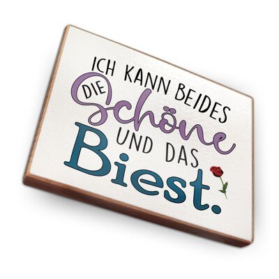Beechwood fridge magnet - I can do both beauty and the beast