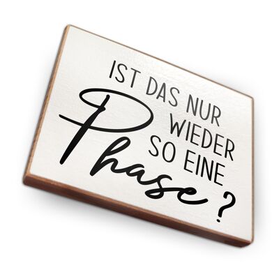 Beechwood fridge magnet - Is this just another phase
