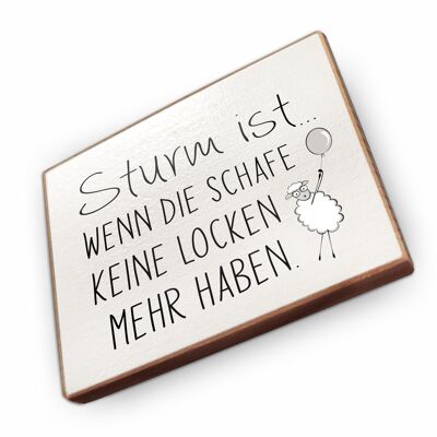 Beechwood fridge magnet - Storm is when the sheep