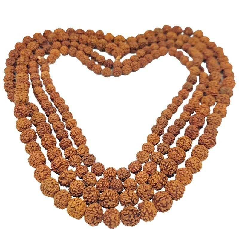 Perle di Rudraksha