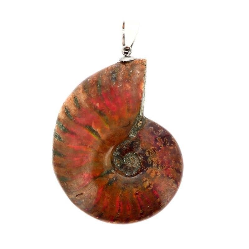 Ciondoli in ammonite con riflessi, da 3 a 5 cm
