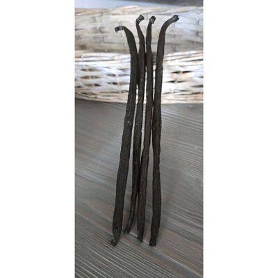 4 gousses (19 à 20 cm) de Vanille de Madagascar Premium