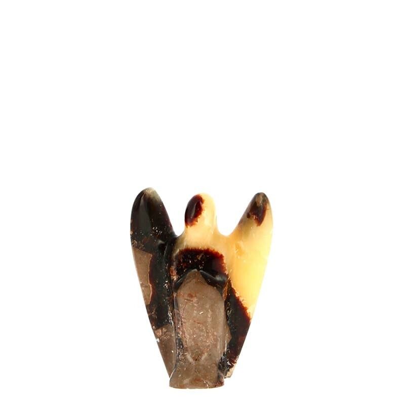 Angelo Septaria del Madagascar EXTRA 5 cm