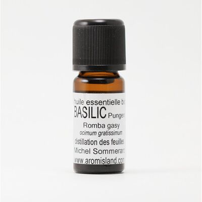 Organic Pungent Basil Essential Oil