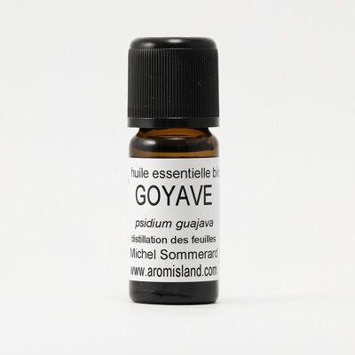 Aceite esencial de guayaba orgánico