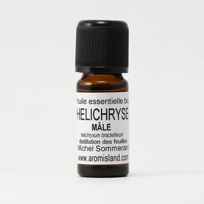 Olio essenziale di elicriso maschile biologico