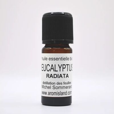 ORGANIC EUCALYPTUS RADIATA ESSENTIAL OIL
