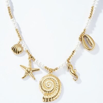 Collar de acero inoxidable 224AQ137