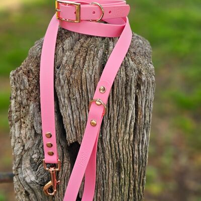 Collare e guinzaglio per cani BioThane© impermeabili - Rosa cipria