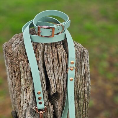 Waterproof BioThane© Dog Collar & Dog Lead - Sage