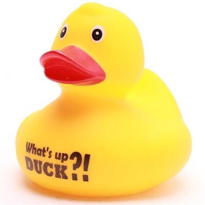 Patito de goma "¡¿Qué pasa Pato?!" - Patito de goma