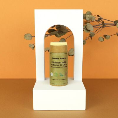 Deodorante solido all'eucalipto e pino silvestre