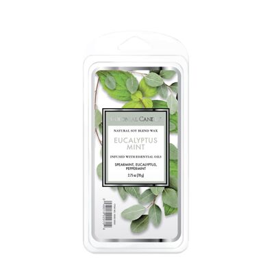 Classic waxmelt eucalyptus mint