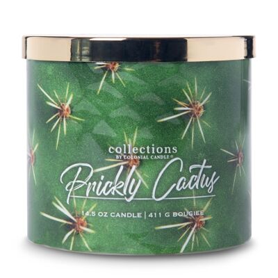 Travel collection prickly cactus