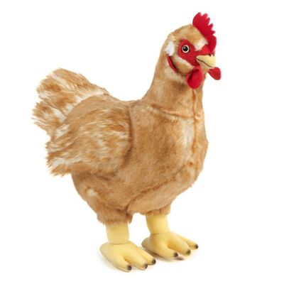 Pollo di peluche