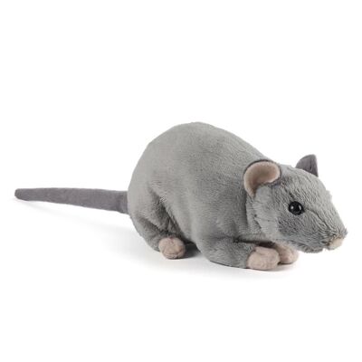Topo di peluche
