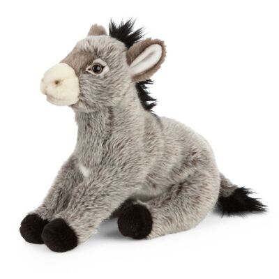 Asino di peluche