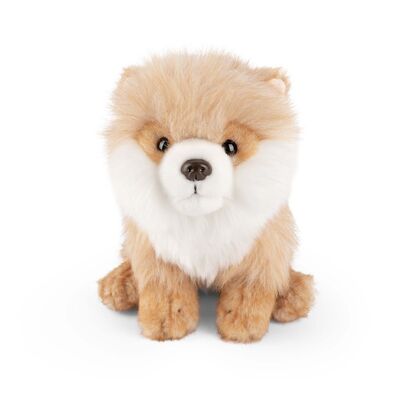 Peluche Pomerania | Living Nature