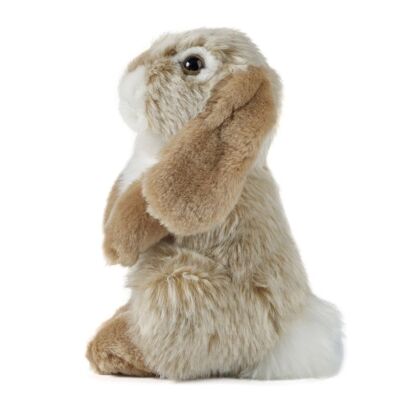 Sitting Brown Rabbit Plush