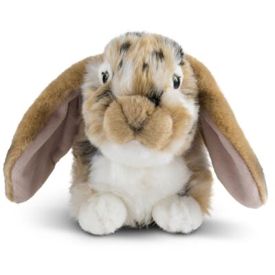 Coniglio ariete marrone di peluche