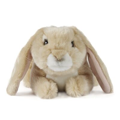 Peluche coniglio dalle orecchie cadenti marrone chiaro