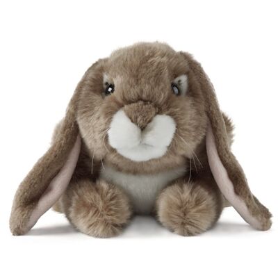 Peluche a forma di coniglio marrone con le orecchie cadenti