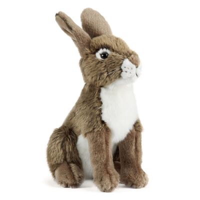 Plush Hare