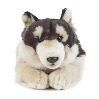 Peluche lupo