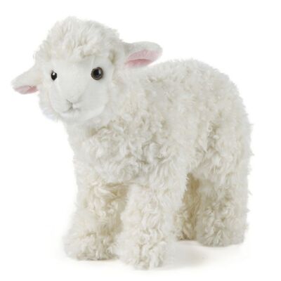 Plush Sheep