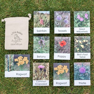 Flashcard di fiori di campo
