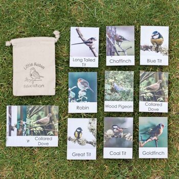 Cartes éclair sur les oiseaux de jardin