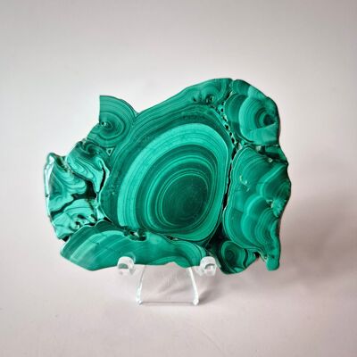 Gemstone Malachite Disc on Stand (100–125g) #6
