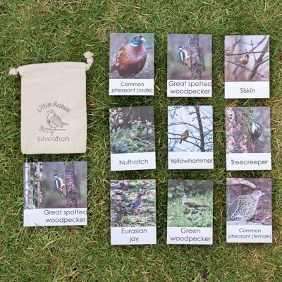 Flashcard degli uccelli del bosco