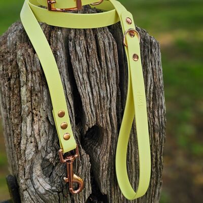 Waterproof BioThane© Dog Collar & Dog Lead - Lemon