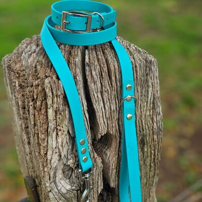 Collar y correa impermeables BioThane© para perros - Verde azulado