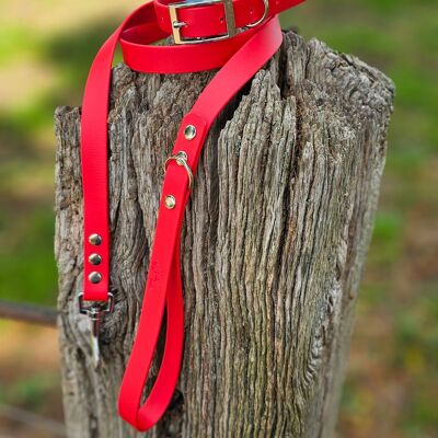 Waterproof BioThane© Dog Collar & Dog Lead - Red