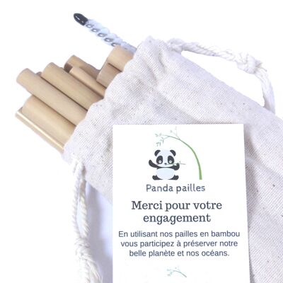 6 bamboo straws with brush and pouch Panda Straws