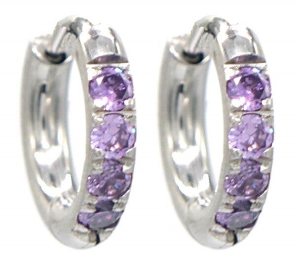 B-B18.1 E015-002S S.Orecchini in acciaio con zirconi 12mm viola