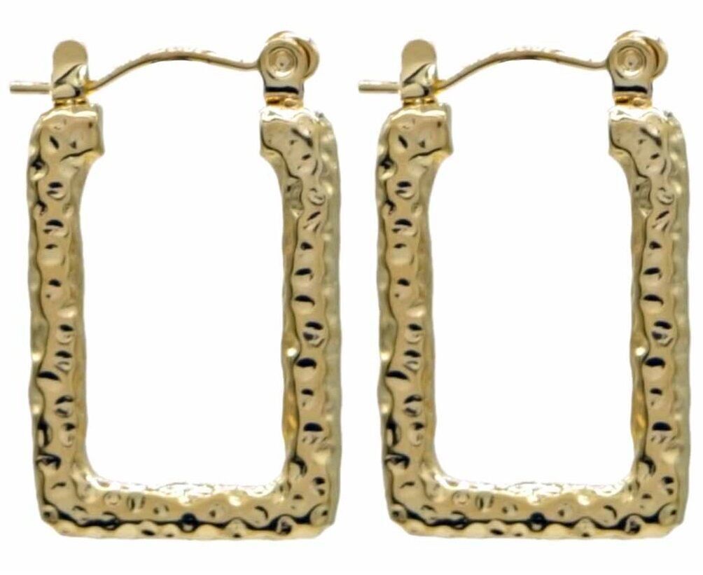 D-C6.2 E833-003G S. Orecchini in acciaio 2.5cm