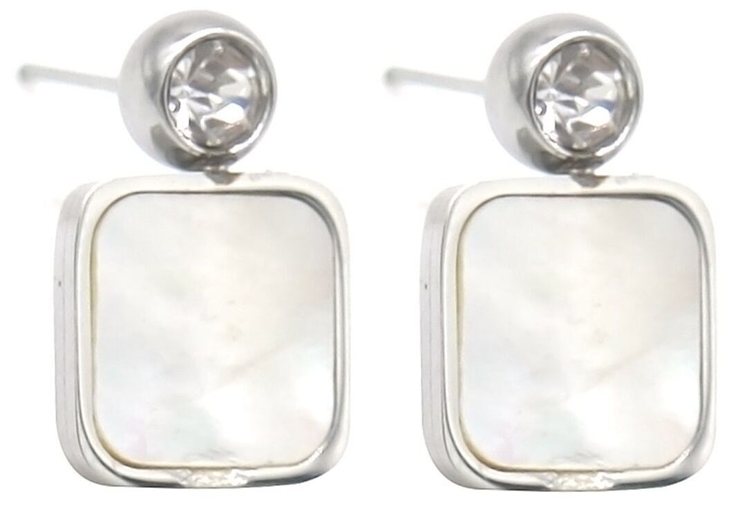 A-F19.1 E101-011S S. Orecchini in acciaio 1.Mocio da 8 cm