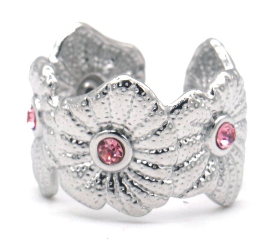 H-F4.2 R2457-031S S.Stahlring verstellbar