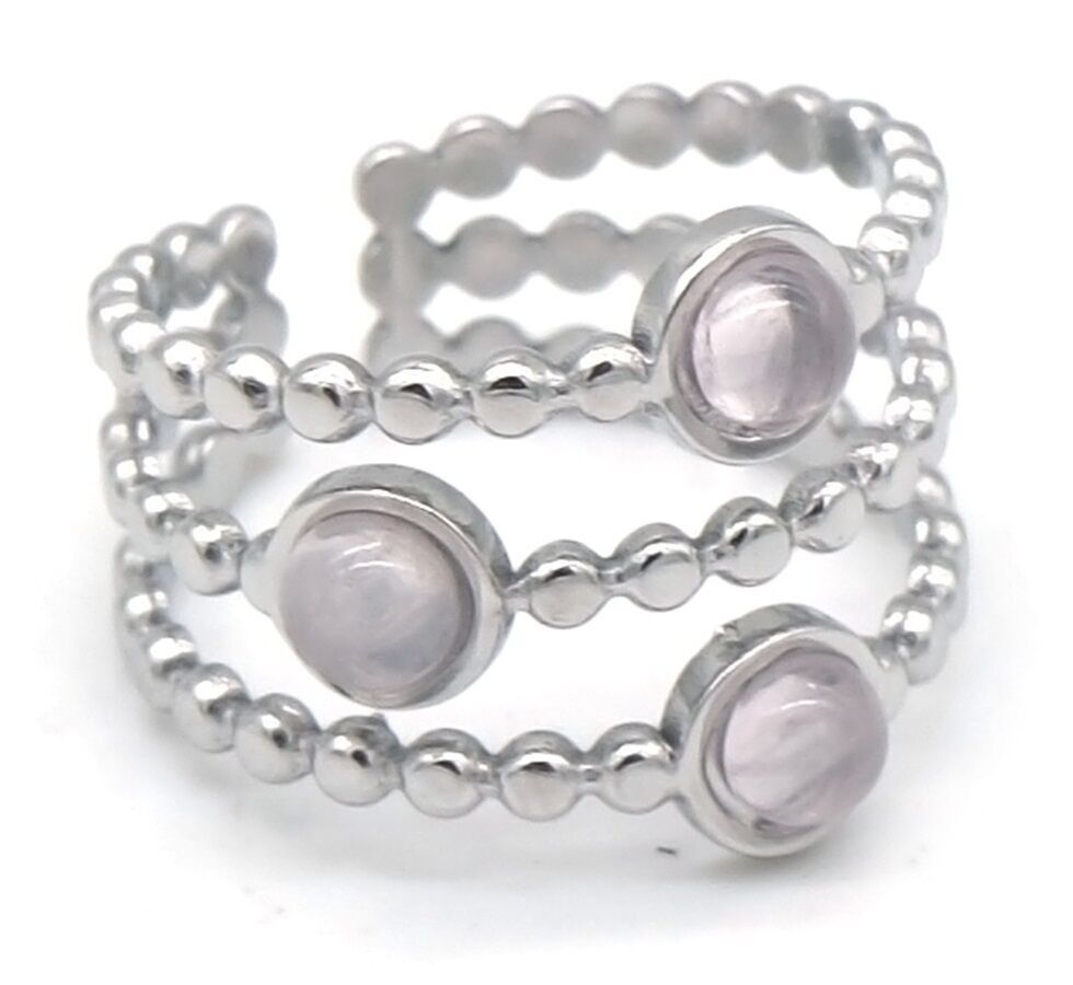 B-B17.3 R2457-069S S.Anello in acciaio regolabile