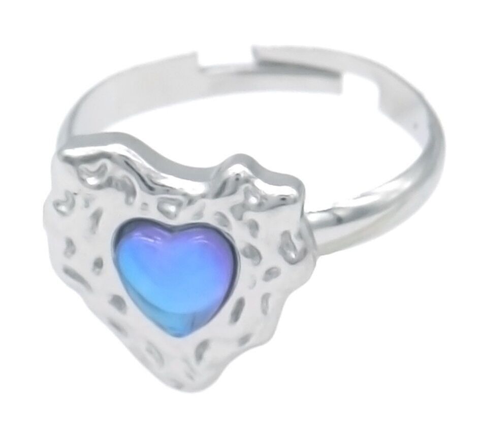 E-F18.3 R2457-011S-1 S.Anello in acciaio regolabile