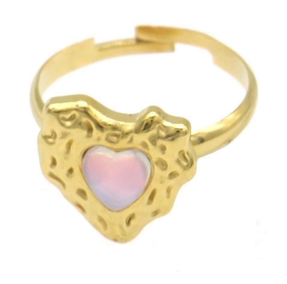 E-E19.5 R2457-011G-3 S.Anello in acciaio regolabile