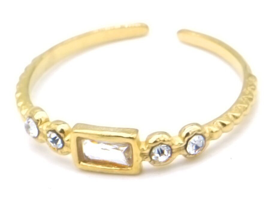 B-C10.2 R2457-049G S.Anello in acciaio regolabile